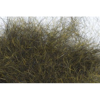 dubbing Troutline Pure Squirrel - olive