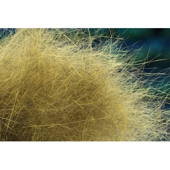 dubbing Troutline Pure Squirrel - yellow squirrel