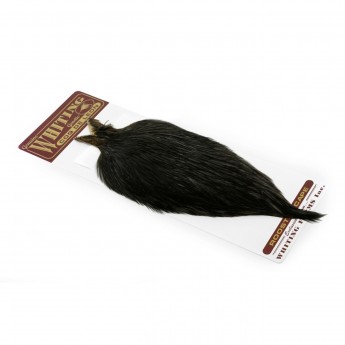 skalp WHITING Coq De Leon Cape - black