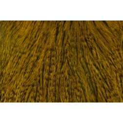 skalp WHITING Coq De Leon Cape - golden olive