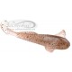 tvister Shy Goby Crystal Sexi Brown