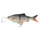 3D Line Thru Roach