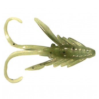 Nymfa Berkley 2,5 cm CHS