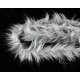 Furrybou Medium-  Silver Gray Fur