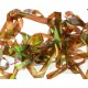 Magic Pearl Strips - Brown