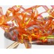 Pearl Strips - Salmon