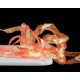 Pearl Braidback 4,5mm -  Fluo Salmon