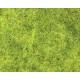 Flash Nymph Dubbing - Fluo Yellow