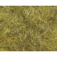 Flash Nymph Dubbing - Golden Olive