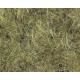 Flash Nymph Dubbing - Light Olive