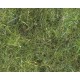 Flash Nymph Dubbing - Rich Olive
