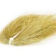 Angel Hair - Gold