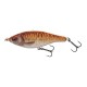 3D ROACH JERKSTER PHP Gold Fish