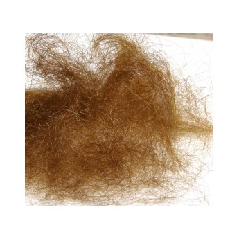 Angora Goat - Br.Olive