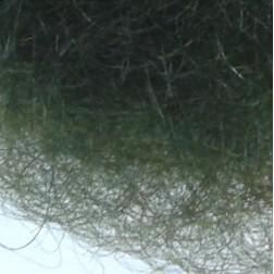 Angora Goat - Olive