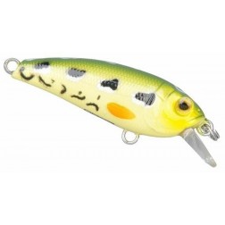 wobler SPRO CHBI Shad 40 SL Leopard Frog