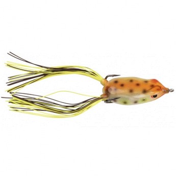 Dean Rojas Bronzeye Frog 65 - Toad