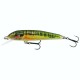 wobler Salmo MINNOW 6 F Minnow